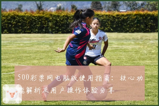 500彩票网电脑版使用指南：核心功能解析及用户操作体验分享
